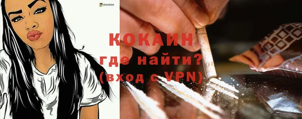 дживик Верея