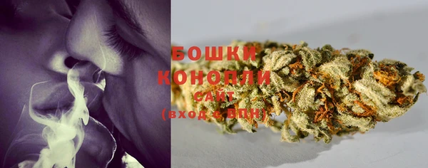 дживик Верея