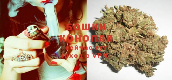 дживик Верея