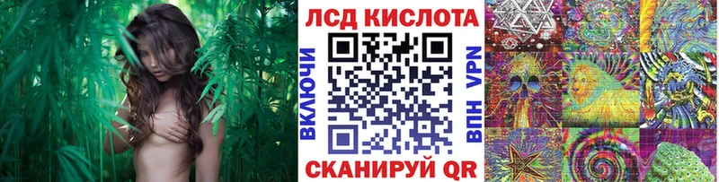 Наркотические марки 1,8мг  Купить где  Краснозаводск 
