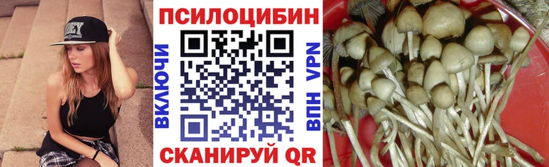 Купить  Краснозаводск  Галлюциногенные грибы ЛСД 